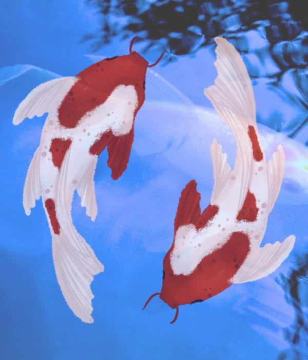 deep down koi